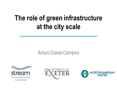 The role of green infrastructure at the city scale Arturo Casal-Campos.