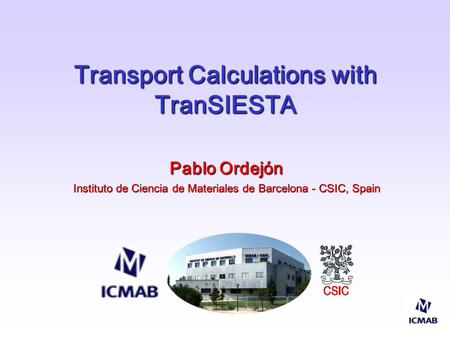 Transport Calculations with TranSIESTA