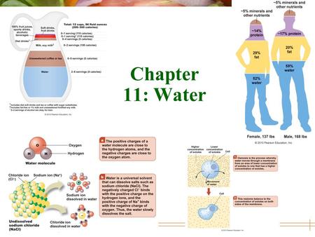 Chapter 11: Water.