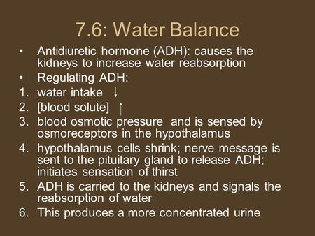 7.6: Water Balance Antidiuretic hormone (ADH): causes the kidneys to increase water reabsorption Regulating ADH: 1.water intake 2.[blood solute] 3.blood.