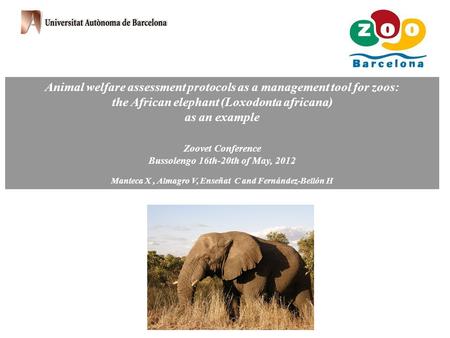 Animal welfare assessment protocols as a management tool for zoos: the African elephant (Loxodonta africana) as an example Zoovet Conference Bussolengo.