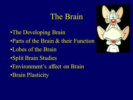 The Brain The Developing Brain Parts of the Brain & their Function Lobes of the Brain Split Brain Studies Environment’s affect on Brain Brain Plasticity.