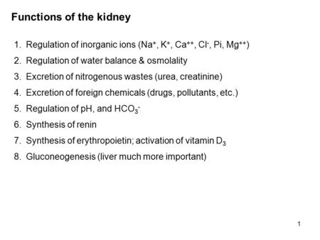 Functions of the kidney