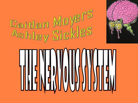 The nervous system is Important because… Coordinates the parts of the body and the organs the control body functions The most important reason…