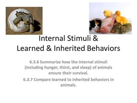 Internal Stimuli & Learned & Inherited Behaviors