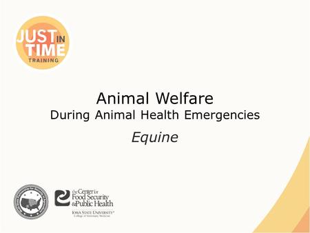 Animal Welfare During Animal Health Emergencies Equine.