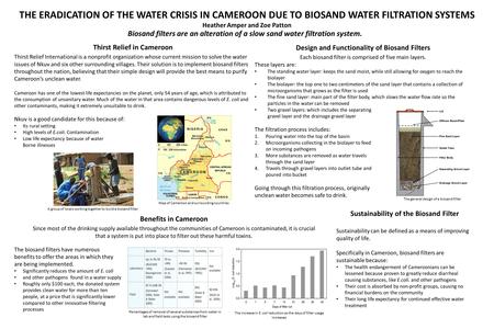 THE ERADICATION OF THE WATER CRISIS IN CAMEROON DUE TO BIOSAND WATER FILTRATION SYSTEMS Heather Amper and Zoe Patton Thirst Relief in Cameroon Thirst Relief.