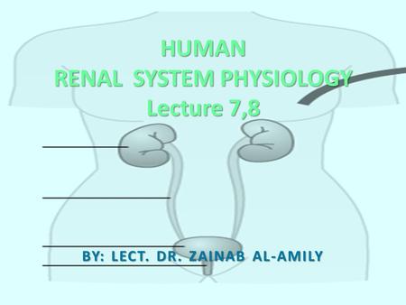 HUMAN RENAL SYSTEM PHYSIOLOGY Lecture 7,8 BY: LECT. DR. ZAINAB AL-AMILY.