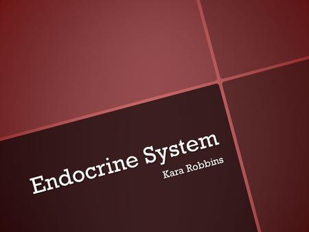 Endocrine System Kara Robbins. Function System of glands, each of which secretes different types of hormones directly into the bloodstream to maintain.