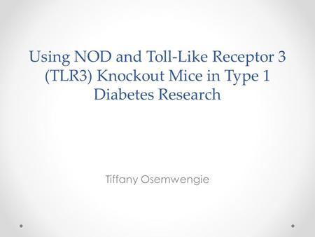Using NOD and Toll-Like Receptor 3 (TLR3) Knockout Mice in Type 1 Diabetes Research Tiffany Osemwengie.