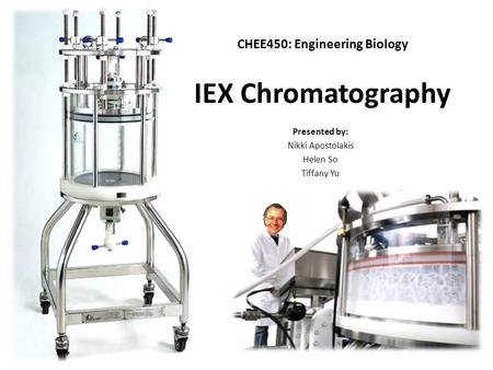 IEX Chromatography Presented by: Nikki Apostolakis Helen So Tiffany Yu CHEE450: Engineering Biology.