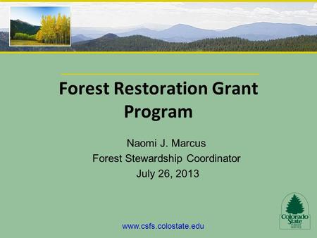 Forest Restoration Grant Program Naomi J. Marcus Forest Stewardship Coordinator July 26, 2013 www.csfs.colostate.edu.