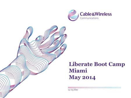 Liberate Boot Camp Miami May 2014 14-23 May. Payments L IBERATE 2Liberate Boot Camp| 14-23 May.