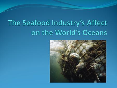 The Seafood Industry Over one billion people rely on fish as an important source of protein. – WWF Seafood is a billion dollar industry, providing markets.