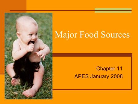 Major Food Sources Chapter 11 APES January 2008. Food What do we eat? What do other cultures eat? Are we using our food resources effectively? What changes.