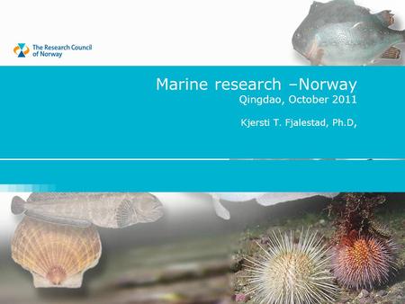 Marine research –Norway Qingdao, October 2011 Kjersti T. Fjalestad, Ph.D,