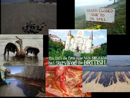 Effects of Oil Spill Beach and Oceans related activities Wildlife related activities Dining and seafood.