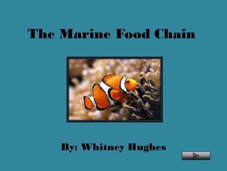 The Marine Food Chain By: Whitney Hughes.