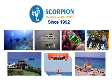Since 1992. Our Vision At Scorpion we are relentless in our focus of 100% guest satisfaction by applying strict safety measures, offering value for money,