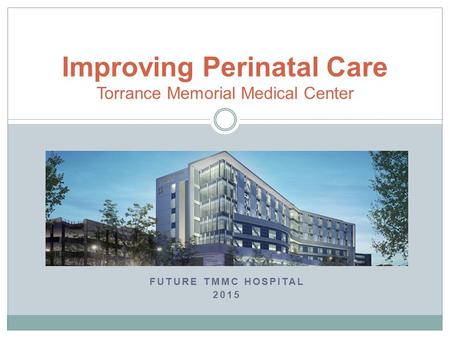 FUTURE TMMC HOSPITAL 2015 Improving Perinatal Care Torrance Memorial Medical Center.