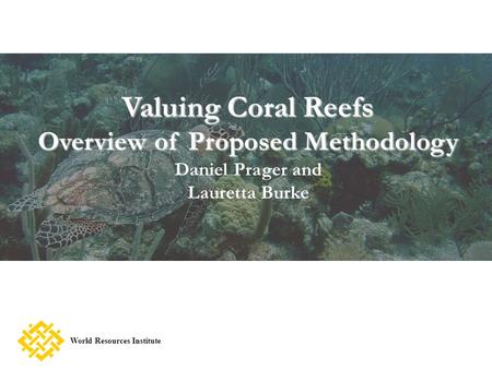 Valuing Coral Reefs Overview of Proposed Methodology Daniel Prager and Lauretta Burke World Resources Institute.