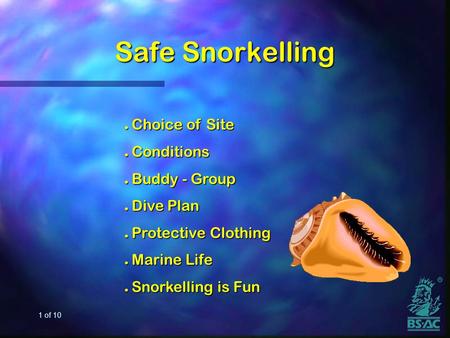 1 of 10 Safe Snorkelling l Choice of Site l Conditions l Buddy - Group l Dive Plan l Protective Clothing l Marine Life l Snorkelling is Fun.