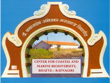 CENTER FOR COASTAL AND MARINE BIODIVERSITY, BHATYE-- RATNAGIRI.