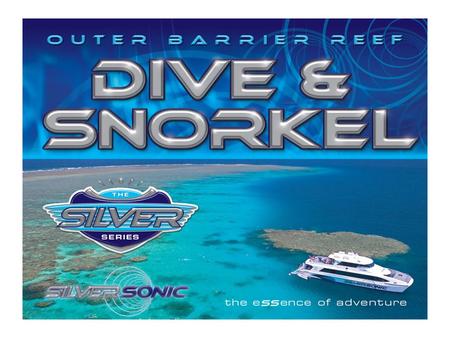 Silversonic > Dive & Snorkel Adventures from Port Douglas.