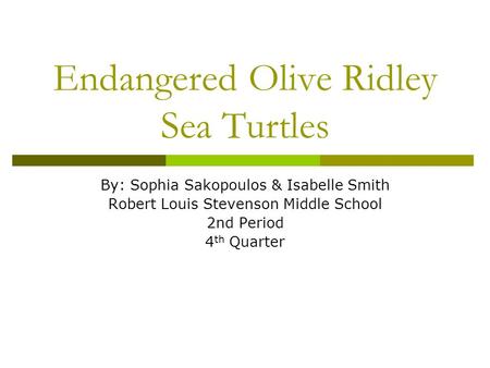 Endangered Olive Ridley Sea Turtles By: Sophia Sakopoulos & Isabelle Smith Robert Louis Stevenson Middle School 2nd Period 4 th Quarter.