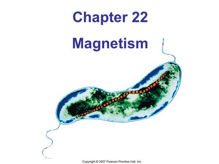Chapter 22 Magnetism.