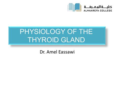 PHYSIOLOGY OF THE THYROID GLAND