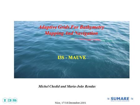 Nice, 17/18 December 2001 Adaptive Grids For Bathymetry Mapping And Navigation Michel Chedid and Maria-João Rendas I3S - MAUVE.