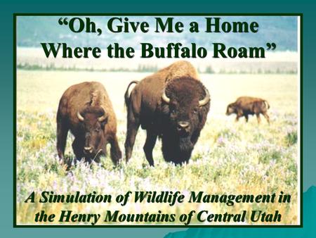 “Oh, Give Me a Home Where the Buffalo Roam” A Simulation of Wildlife Management in the Henry Mountains of Central Utah.