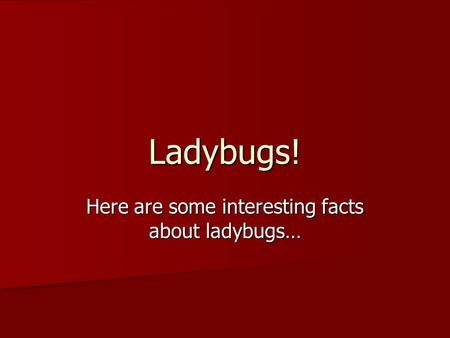 Ladybugs! Here are some interesting facts about ladybugs…