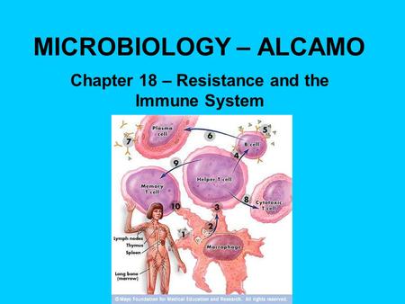 MICROBIOLOGY – ALCAMO Chapter 18 – Resistance and the Immune System.