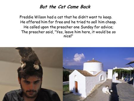 But the Cat Came Back Freddie Wilson had a cat that he didn’t want to keep. He offered him for free and he tried to sell him cheap. He called upon the.
