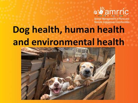 Dog health, human health and environmental health.