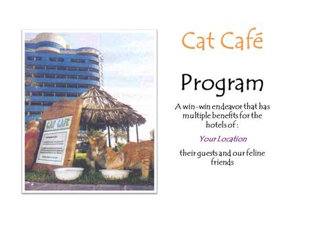 Cat Café Program A win-win endeavor that has multiple benefits for the hotels of : Your Location their guests and our feline friends.