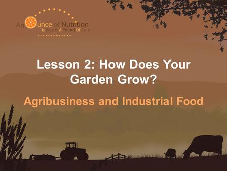 Lesson 2: How Does Your Garden Grow? Agribusiness and Industrial Food.