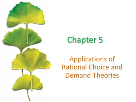 Applications of Rational Choice and Demand Theories.