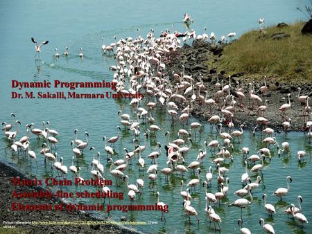 Dynamic Programming (pro-gram)