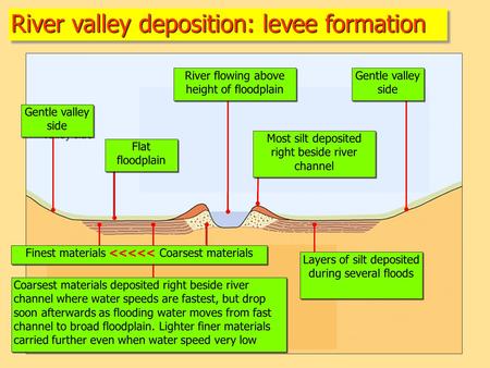 River valley deposition: levee formation Gentle valley side River flowing above height of floodplain Flat floodplain Gentle valley side Layers of silt.
