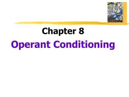 Chapter 8 Operant Conditioning.  Operant Conditioning  type of learning in which behavior is strengthened if followed by reinforcement or diminished.