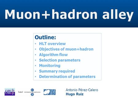 Outline: HLT overview Objectives of muon+hadron Algorithm flow Selection parameters Monitoring Summary required Determination of parameters Antonio Pérez-Calero.