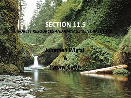 SECTION 11.5 FOREST RESOURCES AND MANAGEMENT IN THE U.S. Jonathan Wigfall & Tyrone Curtis.