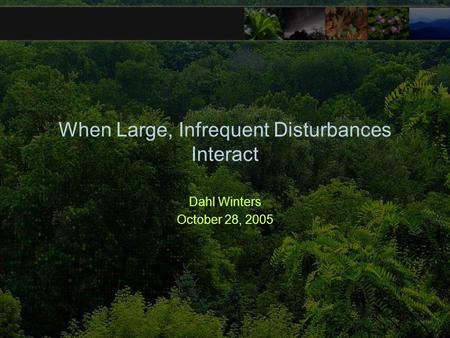 When Large, Infrequent Disturbances Interact Dahl Winters October 28, 2005.