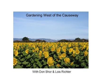 With Don Shor & Lois Richter Gardening West of the Causeway.