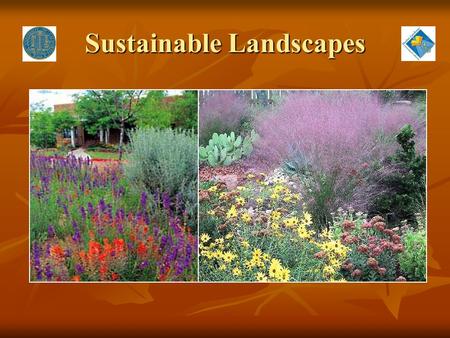 Sustainable Landscapes. Sustainability “meeting the needs of today’s population without diminishing the ability of future populations to meet their needs.”