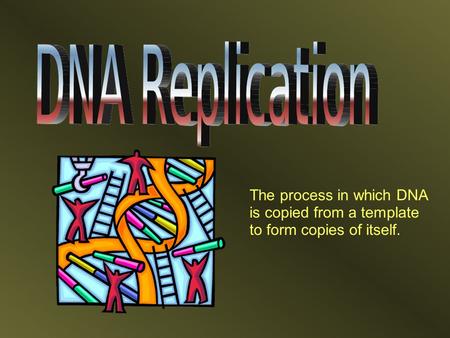 The process in which DNA is copied from a template to form copies of itself.