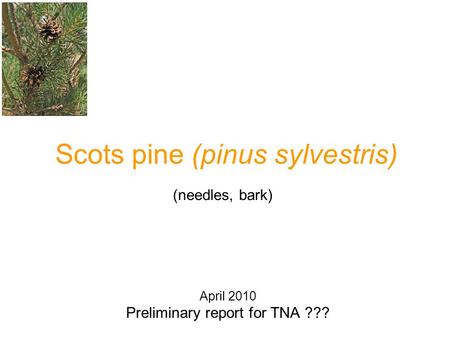 Scots pine (pinus sylvestris) April 2010 Preliminary report for TNA ??? (needles, bark)